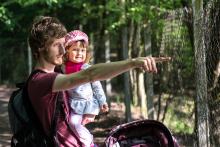 Hele, támhle jsou ty želvy, Veru!