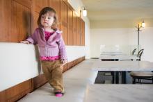 Áááá, copak dobrého nám to právě přinesli? ...