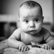 Nevíte někdo náhodou, kam Radovánkovi ulítly včely?