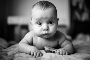 Nevíte někdo náhodou, kam Radovánkovi ulítly včely?