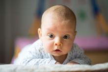 Jak dlouho že přesně ještě musím vydržet pást abych dostal oběd?