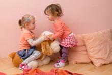 Vyjasňování vlastnických vztahů