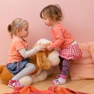 Vyjasňování vlastnických vztahů