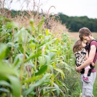 Berany, berany duc u lánu kukuřic