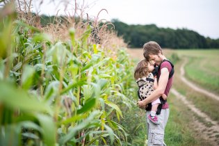 Berany, berany duc u lánu kukuřic