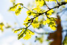 Květnové sluníčko máme rádi