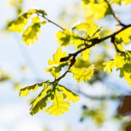 Květnové sluníčko máme rádi