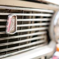 Krása na sídlištním parkovišti