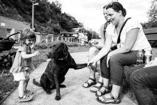 Já bych si toho pejska ráda pohladila, ale nemohl by se prosím dívat někam jinam?