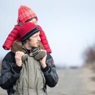 Koně se nejlépe pozorujou na koni