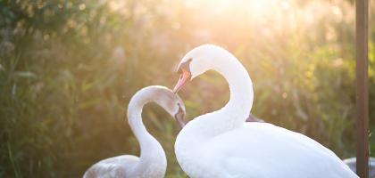 2. víkend v září 2016