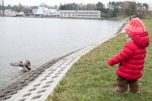 Kačeny na přehradě jsou na Verunku poněkud málo kontaktní