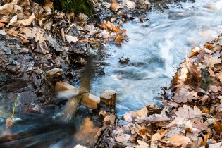 Zato mlýnkům se tu daří poměrně dobře