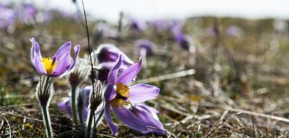 4. víkend v březnu 2016