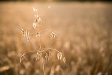 Kafe na benzínce při poslední večerní cestě z Vyškova domů
