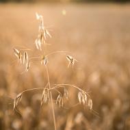 Kafe na benzínce při poslední večerní cestě z Vyškova domů