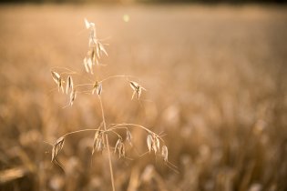 Kafe na benzínce při poslední večerní cestě z Vyškova domů