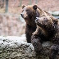 Tak copak nám asi  nebesa sešlou dnes, Jelizare?