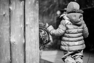 Verunka má kočičky ráda