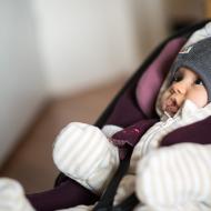 Přivezli jsme si ze zoo jednoho roztomilého lachtánka