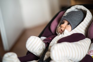 Přivezli jsme si ze zoo jednoho roztomilého lachtánka