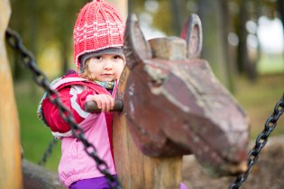 Maximální soustředění před startem dostihu