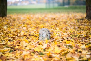 Co asi znamenají dvě tajemná písmena?