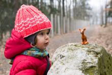 Jsme připraveni i na to, že žádného živého daňka neuvidíme