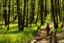 Tuhle zelenou oázu máme v podstatě za domem