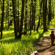 Tuhle zelenou oázu máme v podstatě za domem