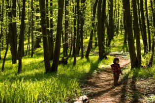 Tuhle zelenou oázu máme v podstatě za domem