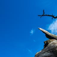 Balzám na duši - v extra velkém balení!