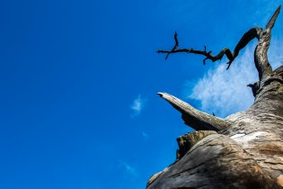 Balzám na duši - v extra velkém balení!