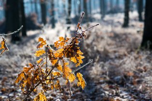 Když se potká podzim se zimou