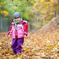 Zde vyjímečně nebyla použita žádná simulace, tyto listy padaly opravdu přímo ze stromů!