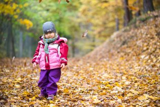 Zde vyjímečně nebyla použita žádná simulace, tyto listy padaly opravdu přímo ze stromů!