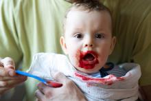 Bio červená řepa se pozná na první pohled