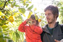 Jé, tady rostou na stromě citrony!