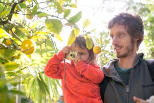 Jé, tady rostou na stromě citrony!
