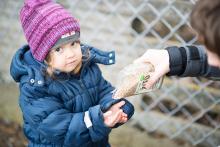 Bio žito pro každého kance