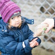 Bio žito pro každého kance