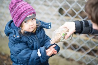 Bio žito pro každého kance