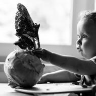 Tento obří výpěstek nejmenovaného zemědělce Radovánka vskutku ohromil