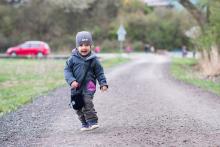 U Žebětínského rybníka je v tomto období možné pozorovat migrující ropuchy, my jsme bohužel žádné neviděli