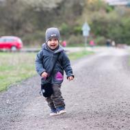 U Žebětínského rybníka je v tomto období možné pozorovat migrující ropuchy, my jsme bohužel žádné neviděli