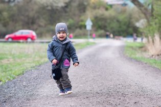 U Žebětínského rybníka je v tomto období možné pozorovat migrující ropuchy, my jsme bohužel žádné neviděli