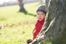 Vyhlídli jsme si u přehrady jeden strom, který chceme pravidelně navštěvovat...