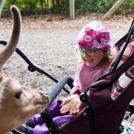 Přísného zákazu krmení jsme si bohužel všimli až cestou zpět