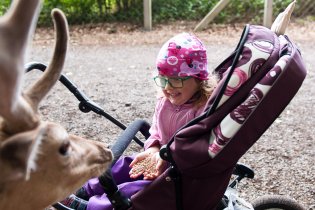 Přísného zákazu krmení jsme si bohužel všimli až cestou zpět