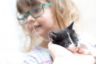 Verča dala na návštěvě ve Střelicích měsíčním koťatům pěkně zabrat